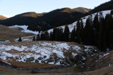 Almaty yakınlarındaki dağlık bölgede. Bitki örtüsü ve karlı tepeler.