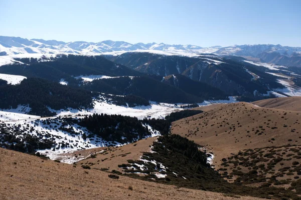 Zona Montuosa Vicino Almaty Colline Con Vegetazione Neve — Foto Stock