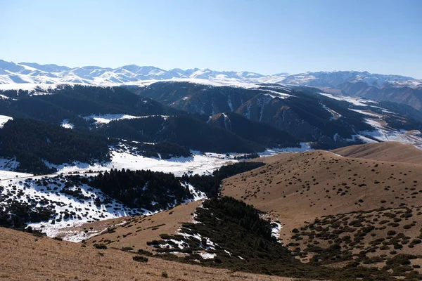 Almaty Yakınlarındaki Dağlık Bölgede Bitki Örtüsü Karlı Tepeler — Stok fotoğraf