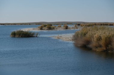 Aral Denizi toprakları. Güney kısmı kontrollü su ve bitki örtüsüyle dolu..