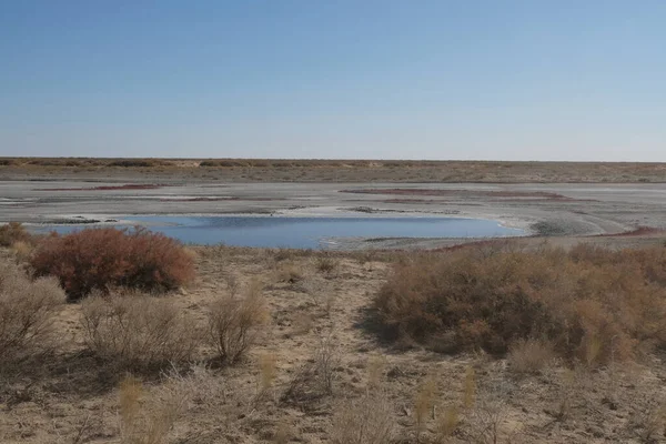 Територія Аральського Моря Південна Частина Контрольованим Обсягом Води Рослинності — стокове фото