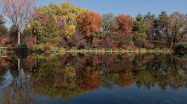 Almaty, Kazakistan - 10.20.2020: su yüzeyinde yansıma. Şehir Botanik Bahçesi.