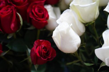 Satılık dekoratif kağıtlı parlak buketler.