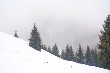 Dağlık bölgelerde farklı türde köknar, çam ve ağaçlar ve yoğun sis var..
