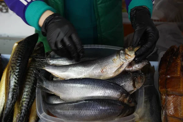 Almaty Kazakhstan 2022 Selected Pieces Fish Put Sale Open Market — Stock Photo, Image