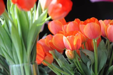 Almaty, Kazakistan - 03.10.2016: Masadaki cam vazolarda taze kesilmiş çiçekler.