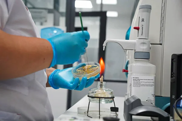 Almaty Kazakhstan 2022 Laboratory Assistant Conducts Virus Research Lit Burner — Stock Photo, Image