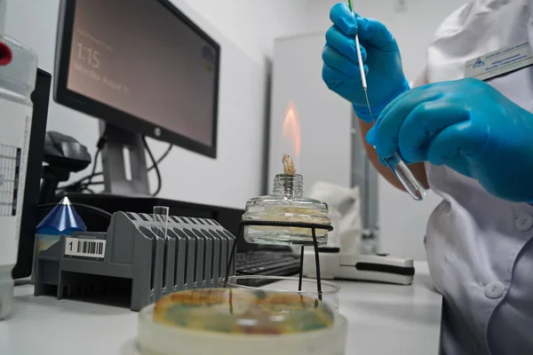 Almaty Cazaquistão 2022 Assistente Laboratório Realiza Pesquisa Vírus Com Queimador — Fotografia de Stock