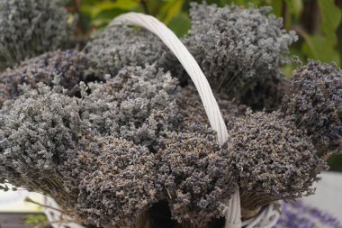 Satış sergisinde bir demet lavanta sergileniyor..