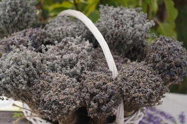 Satış sergisinde bir demet lavanta sergileniyor..