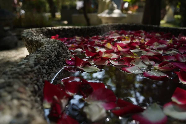 用石碗盛放在水里的装饰花花瓣 — 图库照片