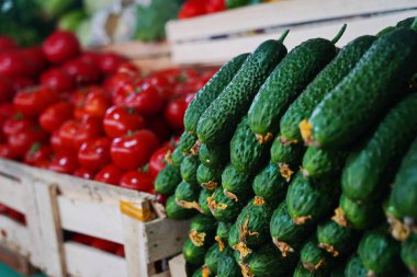 Açık pazarda salatalık satışı..