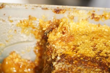 Üstüste dizilmiş bal peteği katmanları ve bir arı.