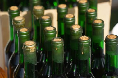 Birbirinin arkasında duran bir kaç cam şişe..