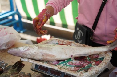 Açık pazarda taze balık satılıyor..
