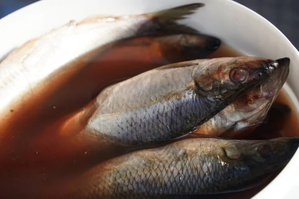 Ikan Segar Pasar Terbuka Warung Pada Penjualan — Stok Foto