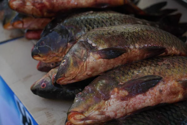 Fresh Fish Open Market Stall Sale — Stock Photo, Image