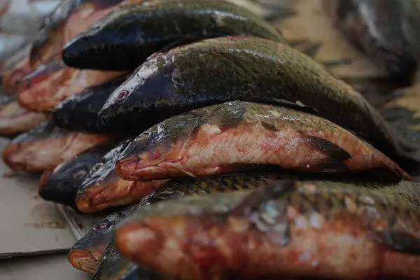 Fresh Fish Open Market Stall Sale — Stock Photo, Image