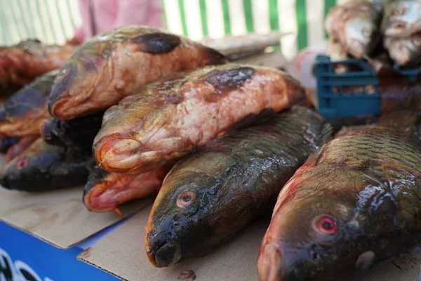 Fresh Fish Open Market Stall Sale — Stock Photo, Image