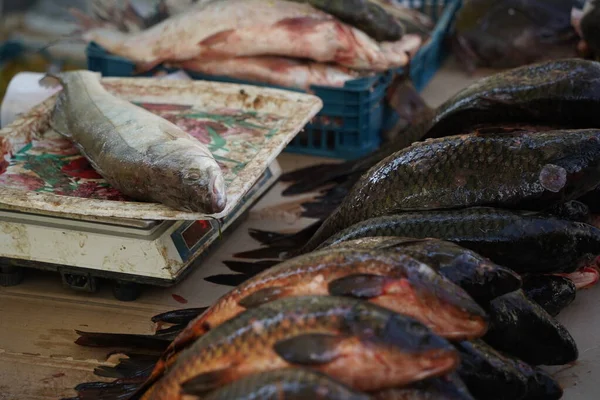 Fresh Fish Open Market Stall Sale — Stock Photo, Image