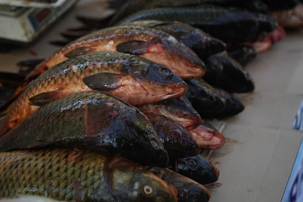 Fresh Fish Open Market Stall Sale — Stock Photo, Image