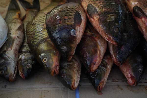 Fresh Fish Open Market Stall Sale — Stock Photo, Image
