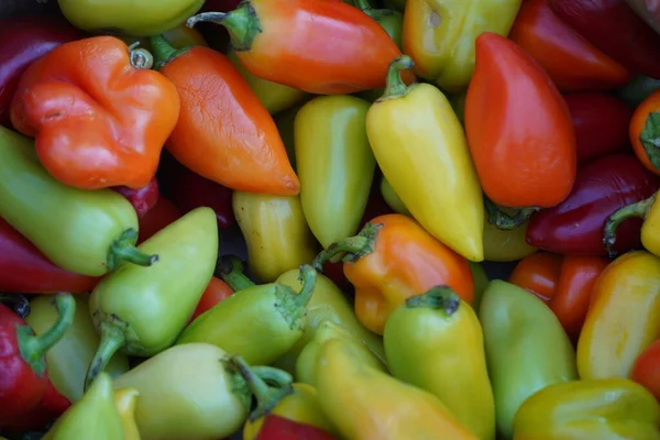 Colorful Peppers Laid Out Container Market Royalty Free Stock Photos