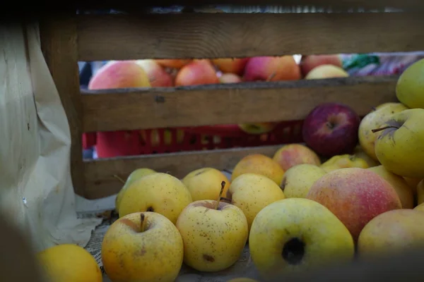 Apples of different varieties on sale at the market.