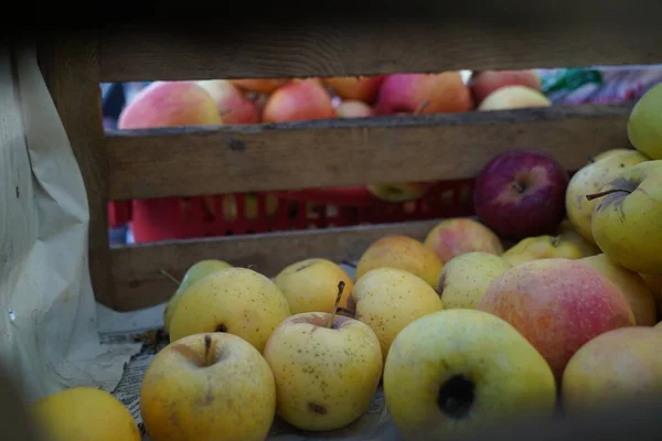 Manzanas Diferentes Variedades Venta Mercado —  Fotos de Stock