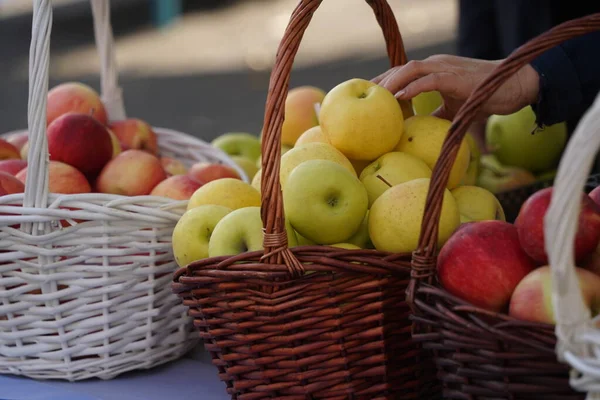 Apples of different varieties on sale at the market.