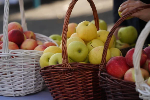 Apples of different varieties on sale at the market.