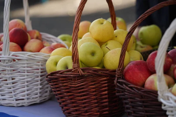 Apples of different varieties on sale at the market.