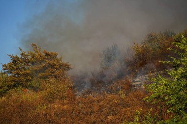 Dağlık bölgelerdeki yangınlar. Kuru otların, çalıların ve ağaçların yanması.