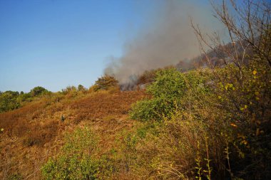 Dağlık bölgelerdeki yangınlar. Kuru otların, çalıların ve ağaçların yanması.
