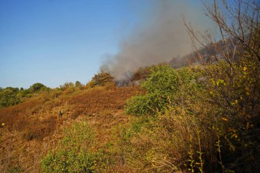 Dağlık bölgelerdeki yangınlar. Kuru otların, çalıların ve ağaçların yanması.