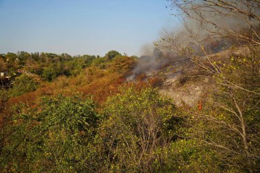 Dağlık bölgelerdeki yangınlar. Kuru otların, çalıların ve ağaçların yanması.