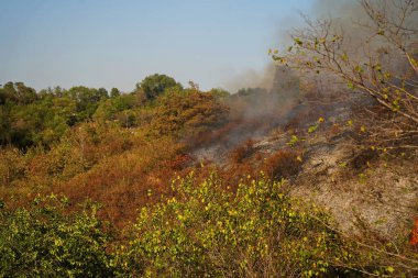 Dağlık bölgelerdeki yangınlar. Kuru otların, çalıların ve ağaçların yanması.