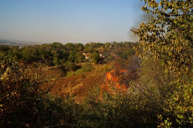 Dağlık bölgelerdeki yangınlar. Kuru otların, çalıların ve ağaçların yanması.
