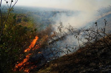 Dağlık bölgelerdeki yangınlar. Kuru otların, çalıların ve ağaçların yanması.