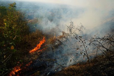 Dağlık bölgelerdeki yangınlar. Kuru otların, çalıların ve ağaçların yanması.