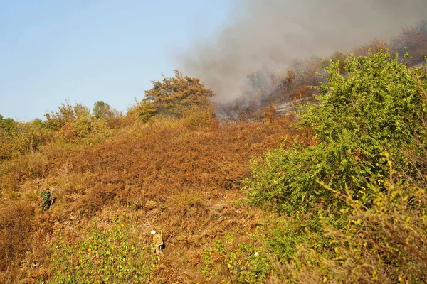 山区的火灾 焚烧干草 灌木和树木 — 图库照片
