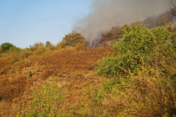 Incendi Nelle Zone Montuose Accensione Erba Secca Arbusti Alberi — Foto Stock