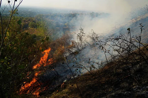 Dağlık bölgelerdeki yangınlar. Kuru otların, çalıların ve ağaçların yanması.