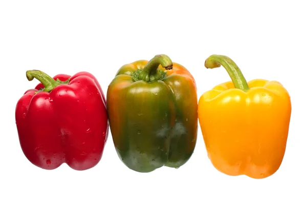 Våt paprika — Stockfoto