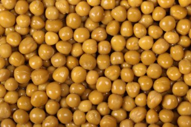 konserve yeşil bezelye