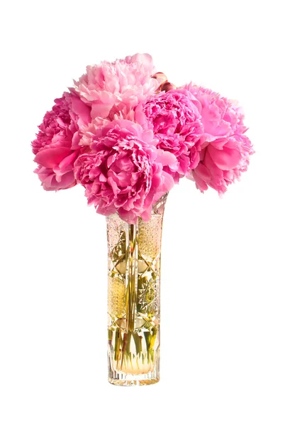 Buquê de peônias rosa no vaso — Fotografia de Stock