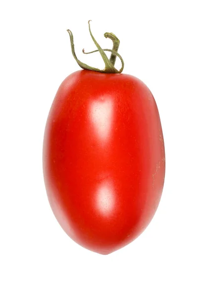 Närbild Bild San Marzano Tomat Isolerad Vit Bakgrund — Stockfoto