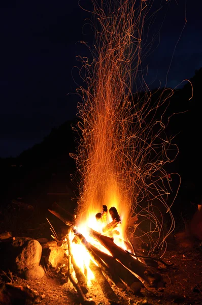 Campfire in the forest — Stock Photo, Image