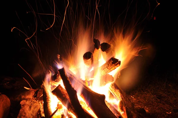 Campfire, bonfire in the forest — Stock Photo, Image