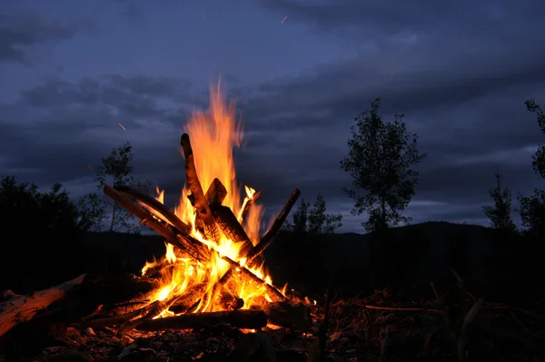 Feu de camp, feu de joie dans la forêt — Photo